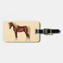 Search for arabian horse accessories Horses