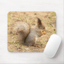Search for squirrel picture mousepads Wild