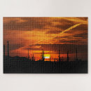 Recherche de saguaro puzzles Tucson