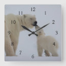 Recherche de bears horloges Polar bear