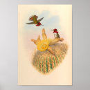 Search for vintage cactus art Green