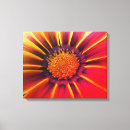 Recherche de gerber rose art Marguerite
