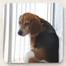 Search for a with attitude barware Dogs