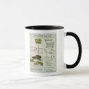 Search for catalogue mugs School