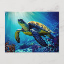Search for turtle postcards Nature