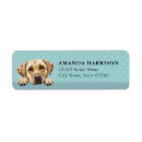 Search for labrador retriever dog return address labels Puppy