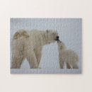 Search for polar bear puzzles Cub