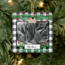 Search for buffalo check ornaments Cat