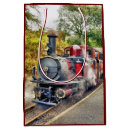 Search for train gift bags Steam