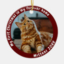 Search for cats first ornaments Animal lover
