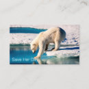 Recherche de polaire cartes visite Nature