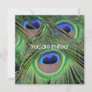 Search for peacock baby shower invitations Green
