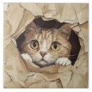 Recherche de chaton carreaux Animal