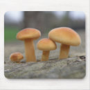 Search for toadstool mousepads Fungi