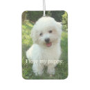 Recherche de costume car air fresheners Chien