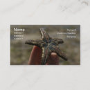 Search for float business cards Ocean