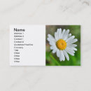 Recherche de marguerites cartes visite Jaune
