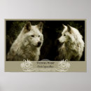 Recherche de toundra posters Nature