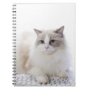 Search for ragdoll cat notebooks Cute