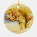 Search for orange tabby cat ornaments Kitty