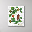 Search for squash posters Steampunk