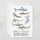 Search for killer shark Sharks