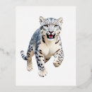 Recherche de snow leopard cartes postales Léopard des neiges