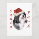 Search for havanese christmas cards Dog