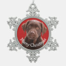 Search for chocolate lab ornaments Xmas