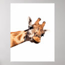 Search for zoo kids posters Wildlife