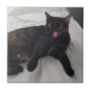 Recherche de langue carreaux Mignon