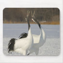 Recherche de grue tapis souris Nature
