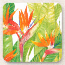 Search for bird coasters Flowers