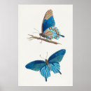 Recherche de zoologie posters Histoire naturelle