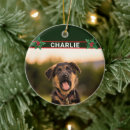 Search for dog by breed ornaments For her