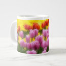 Recherche de jardin tulipe tasses Printemps