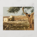 Recherche de rachel cartes postales Judaïsme