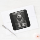 Search for pet portraits stickers Vintage