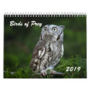 Search for owl calendars Raptors