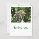 Search for beaks postcards Nature