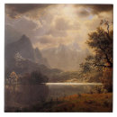 Search for wildlife tiles Deer