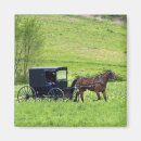 Search for buggie magnets Buggy