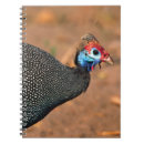 Search for fowl notebooks Wildlife