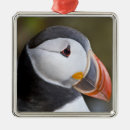 Search for puffin ornaments Black