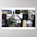Search for species posters Aliens