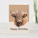 Search for highland cow birthday cards Animal
