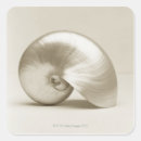 Recherche de nautilus autocollants Animaux