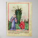 Recherche de mandragore posters Plante