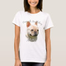 Recherche de french bulldog mom Frenchie