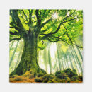 Recherche de rayon de soleil magnets Nature